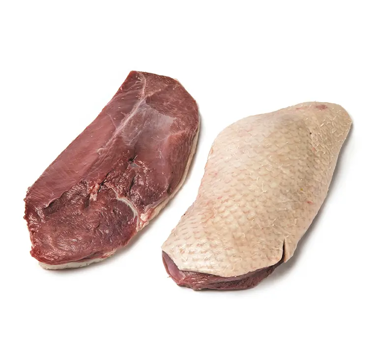 FILET CANARD 5KG MG 