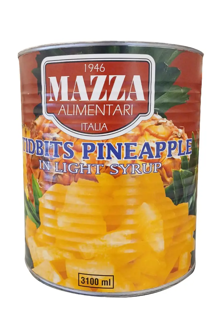 MACÉDOINE DE FRUITS 3KGX6 MG 