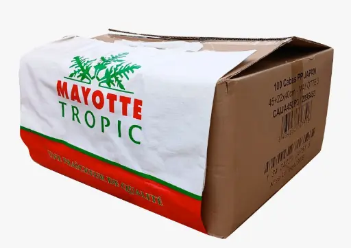 [MG-DZO-GRO-1039-00] SAC CABAS "TROPIQUES" 25*30L  MG