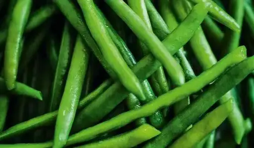 [MG-DZO-GRO-1198-00] HARICOTS VERTS SURG. 4*2,5KG  MG