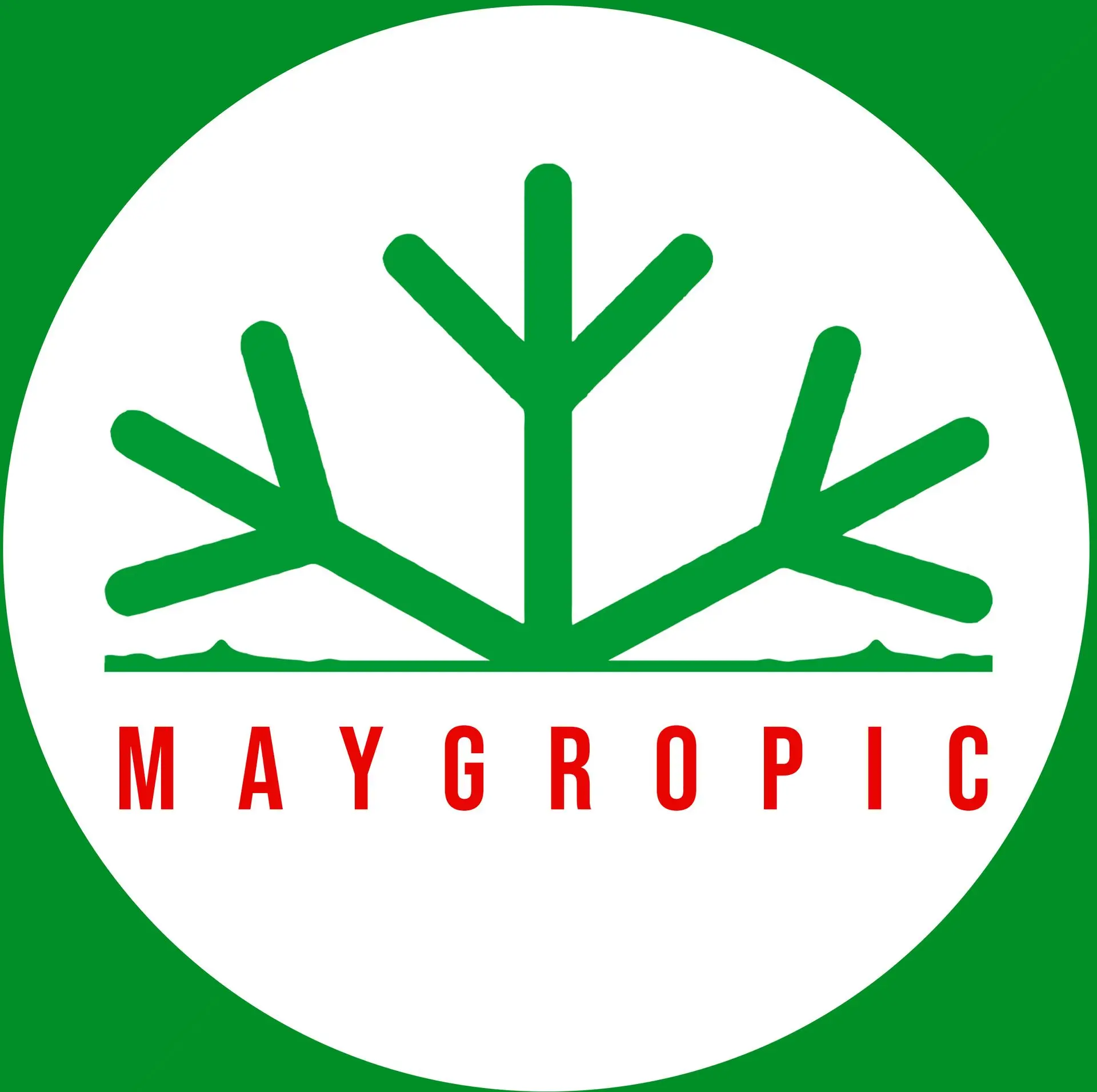 Mayotte Tropic